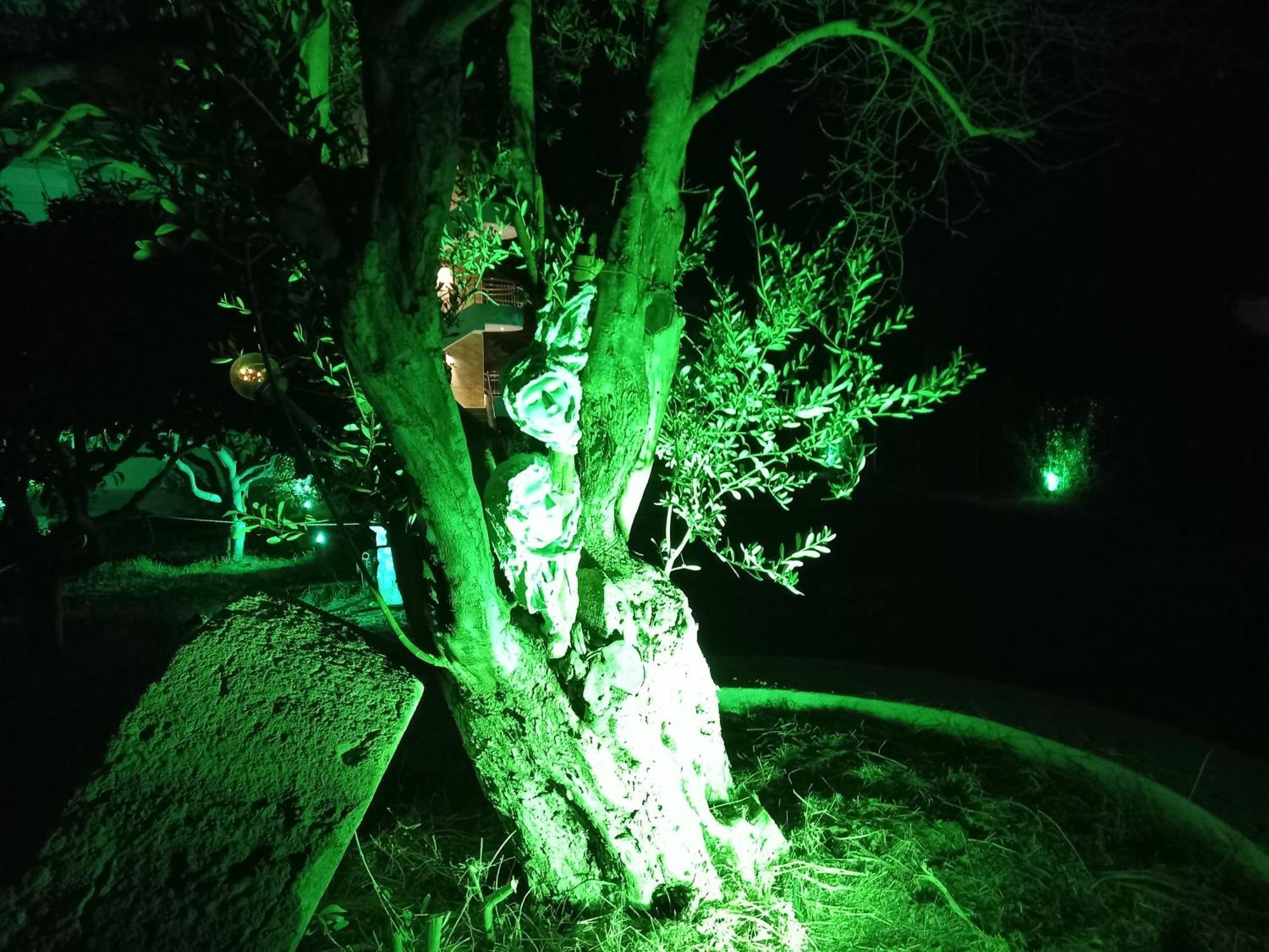 Sweet Home Luxury Apartment 5 Ialysos  Buitenkant foto